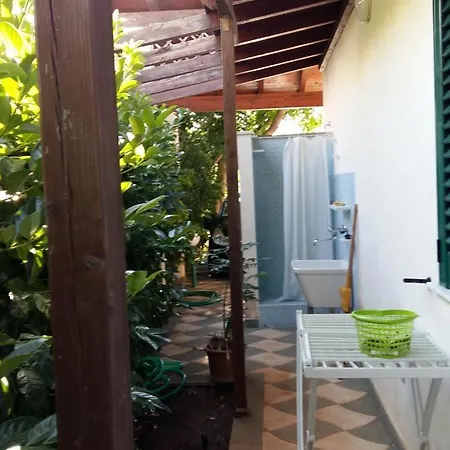 Greenhouse Apartment *